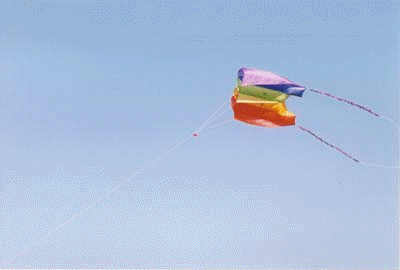 kite-flug-landg.gif